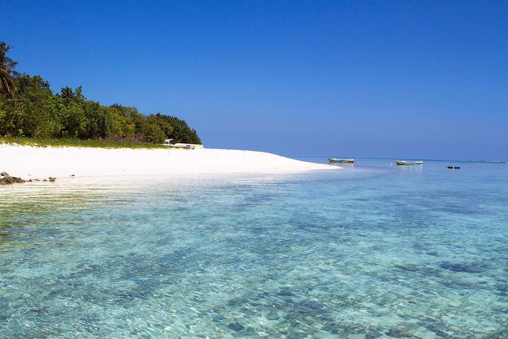 Hotel Tropic Tree Maldives Gulhi Exterior foto