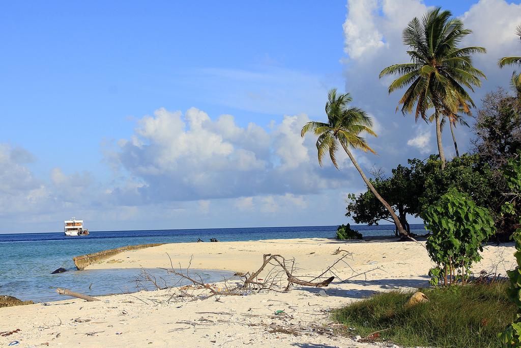 Hotel Tropic Tree Maldives Gulhi Exterior foto
